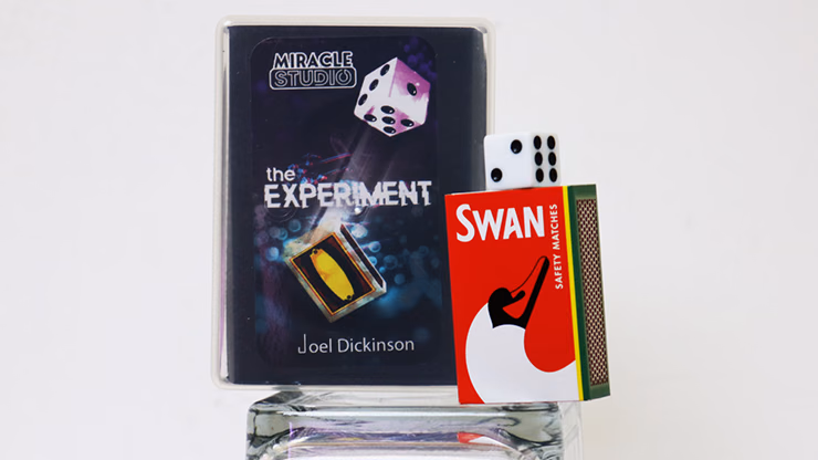 THE EXPERIMENT by Joel Dickinson - Image 2