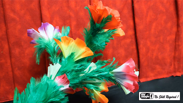 Giant Feather Fantasy by Mr. Magic - Image 2