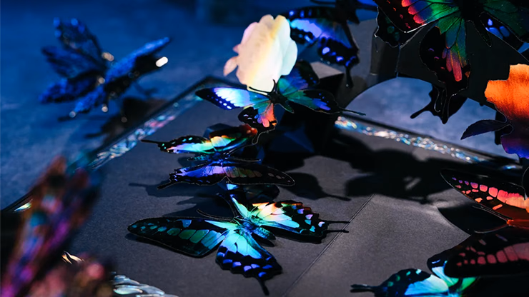 Morpho V2 Playing Cards Collection Boxset by TCC Fashion - thumbnail 6