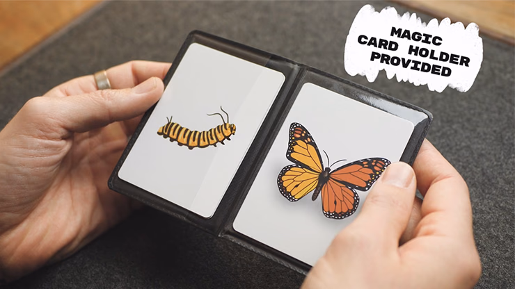 Caterfly by My Magical Project - Image 2