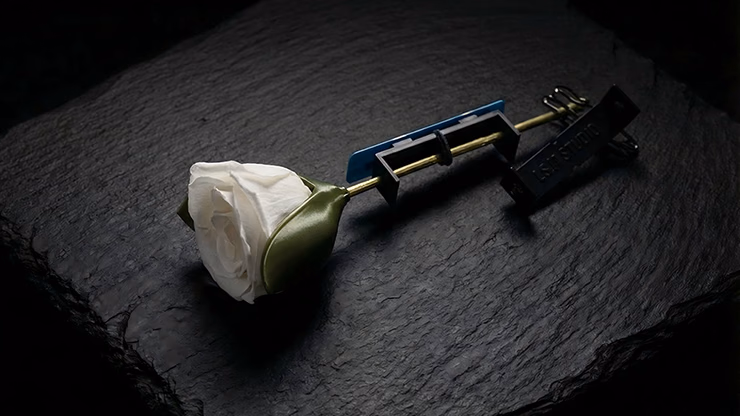Project H: Rose Holder by J.S.M. Studio & Bacon Magic - thumbnail 3