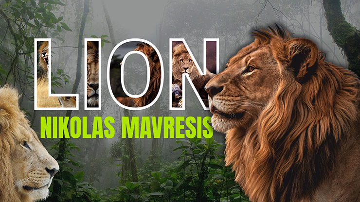 Lion by Nikolas Mavresis video DOWNLOAD - magic trick