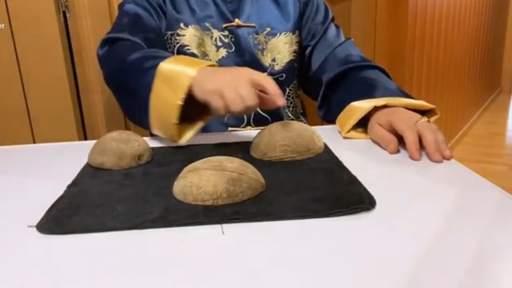 Coconut's Pepegyver by Jose Cruz González video DOWNLOAD - Image 2