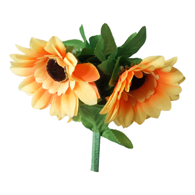 Amazing Split Sunflower by Premium Magic - thumbnail 3