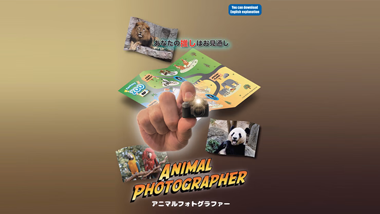 Animal photographer - Image 2
