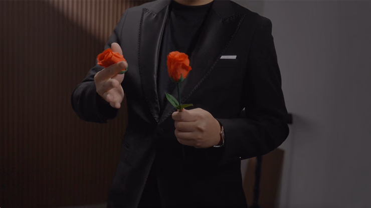 Eternal Rose by Bond Lee - thumbnail 6