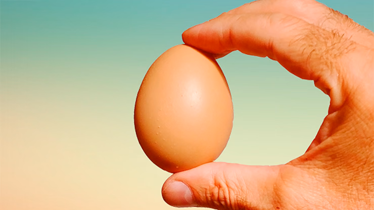 Fake Egg Brown by Quique Marduk - Image 2