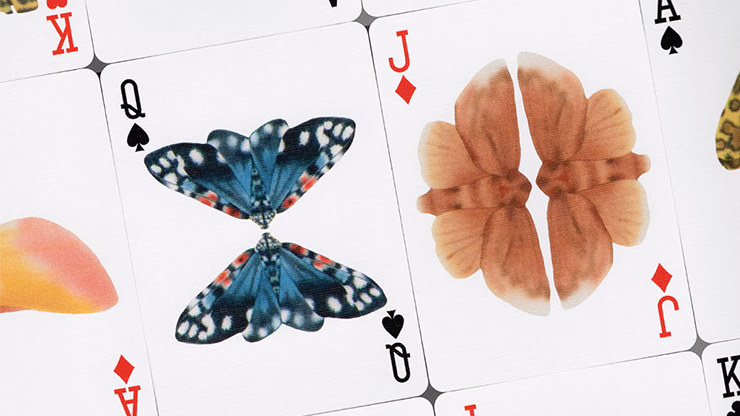 MOTHS (Stripe Edition) by Matthew Palladino - thumbnail 3