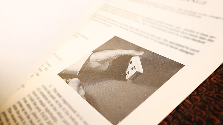 Rovi Reveals by Lewis Ganson - Book - thumbnail 4