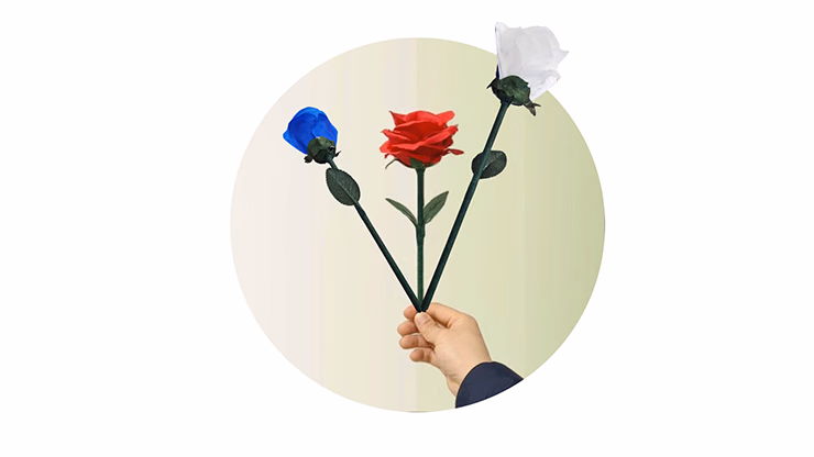 Rainbow Rose by JL Magic - thumbnail 5