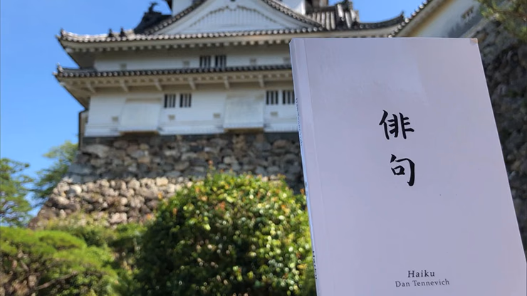 Haiku Book Test 2.0 by Vincent Hedan - Trick - Image 2