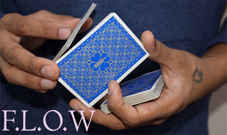 Magic Encarta Presents F.L.O.W by Vivek Singhi - Video DOWNLOAD - magic trick