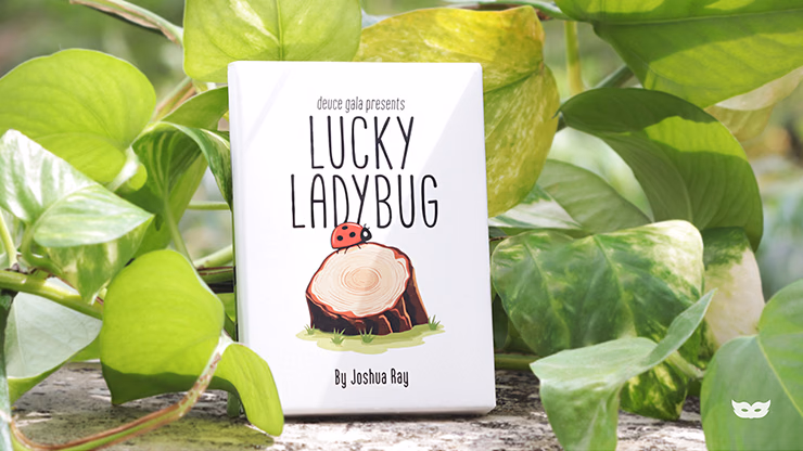 Lucky Ladybug (Leaf) by Joshua Ray & Deuce Gala Magic - thumbnail 3