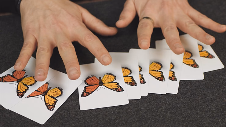 Caterfly by My Magical Project - thumbnail 3