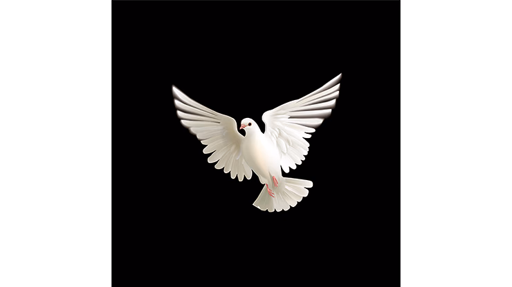 BLUFFF (Appearing Dove) by Juan Pablo Magic - thumbnail 3