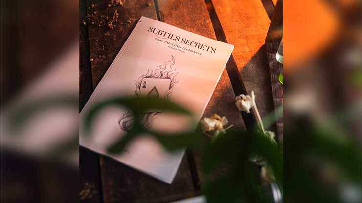 Subtle Secrets 1 by Thibault Ternon - thumbnail 5