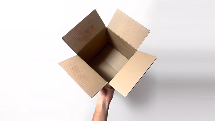 Examinable Box by Blake Vogt - thumbnail 3