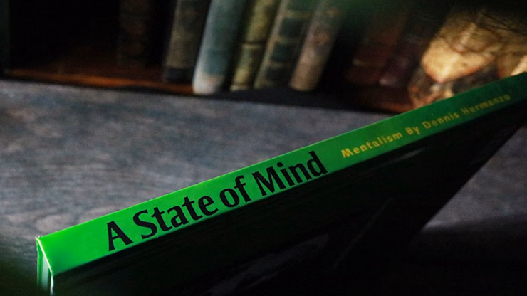 A State of Mind by Dennis Hermanzo - Book - Image 2