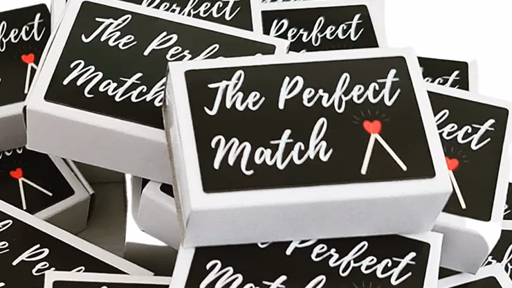 PERFECT MATCH (Gimmicks and Online Instructions) by Vinny Sagoo - Trick - Image 2