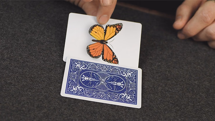 Caterfly by My Magical Project - thumbnail 5