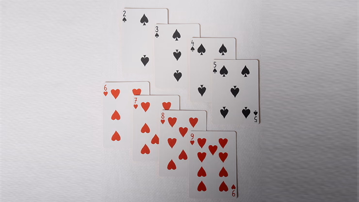 No Borders Edition 2 J&T Back Playing Cards by Joker and the Thief - thumbnail 3