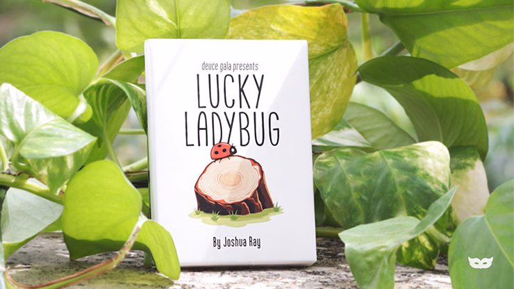 Lucky Ladybug (Log) by Joshua Ray & Deuce Gala Magic - thumbnail 5