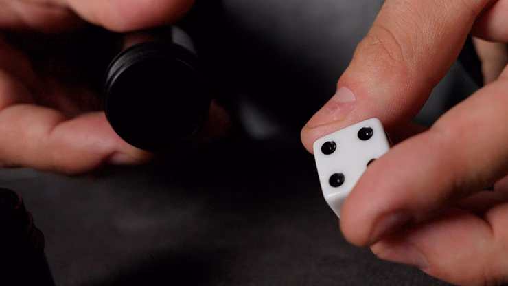 MENTAL CUBE (Gimmicks and Instructions) by Apprentice Magic - Trick - thumbnail 4