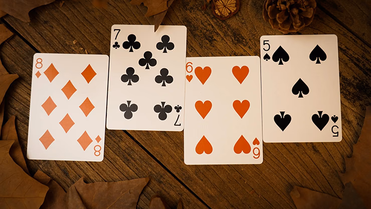 Forest elf Badger Playing Cards - thumbnail 5