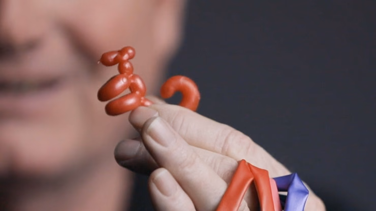 Animinimals (Gimmicks and Online Instructions) by Billy Damon - Trick - thumbnail 3