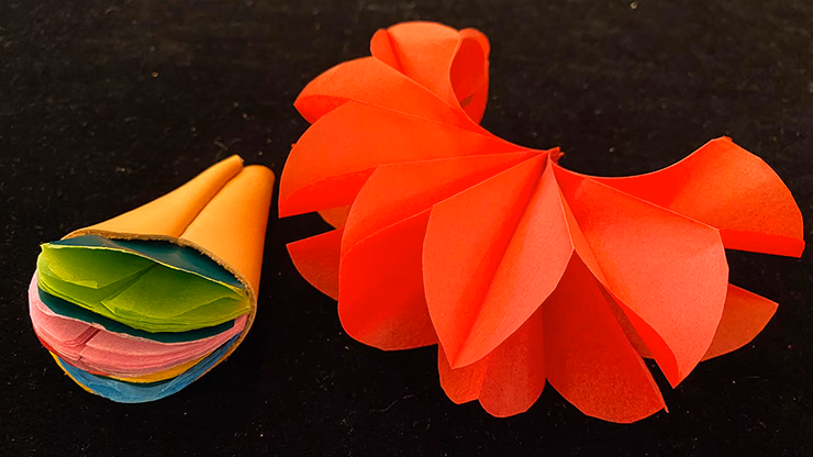 Deluxe Spring Flowers by Alan Wong - Trick - thumbnail 3