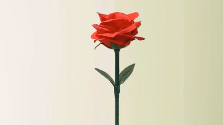 Rainbow Rose by JL Magic - thumbnail 4