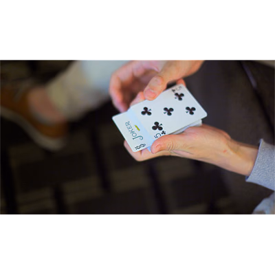 Alter by Kelvin Chow & Lost Art Magic - Video DOWNLOAD - Image 2