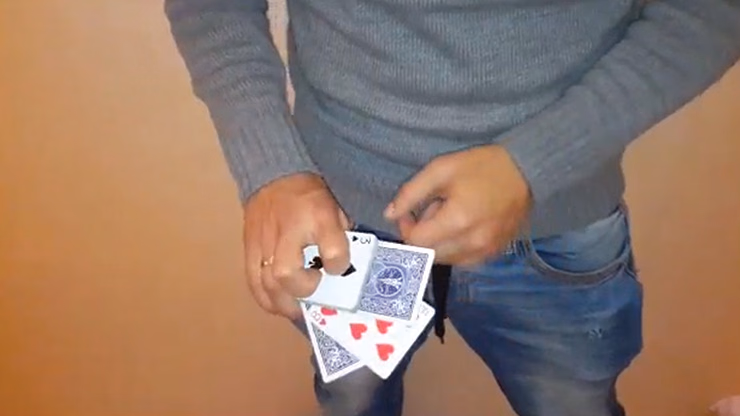 Crocodile Closing by Zack Lach video DOWNLOAD - Image 2