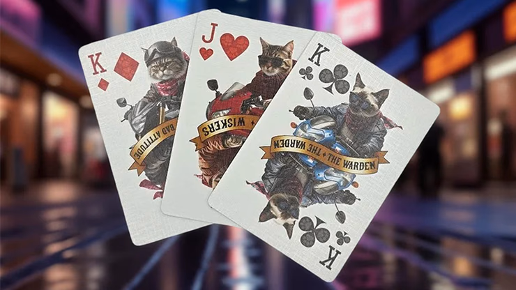 Biker Cats Playing Cards by Collectable Playing Cards - thumbnail 5