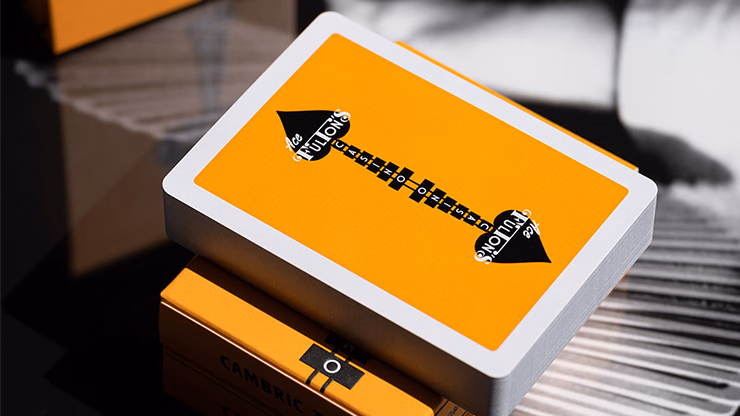 ACE FULTON'S CASINO V3 PLAYING CARDS - Image 2