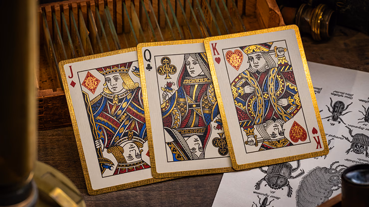 The Beetle Backs (Dynastinae Edition) Playing Cards - thumbnail 3