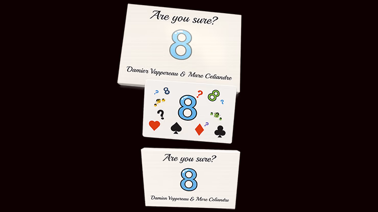Are You Sure? by Damien Vappereau and Marc Céliandre - Image 2