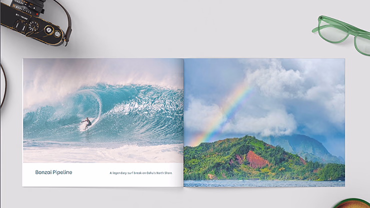 Zandman's Hawaii - Image 2