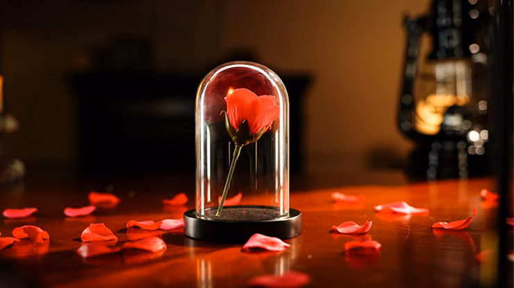 The Quantum Dome by Mai Bro & TCC Magic - Image 2