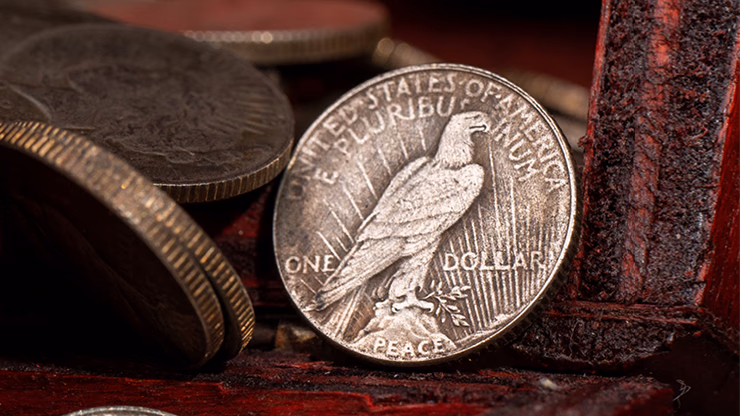 Mini Peace Dollar (Pack of 5 coins) by N2G - thumbnail 4