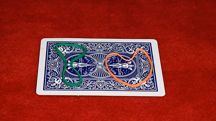 Bandimation by Luis Zavaleta video DOWNLOAD - Image 2