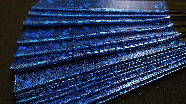 Appearing SnowStorming Fan V2 (Blue Hologram) by Victor Voitko (Gimmick and Online Instructions) - Trick - Image 2