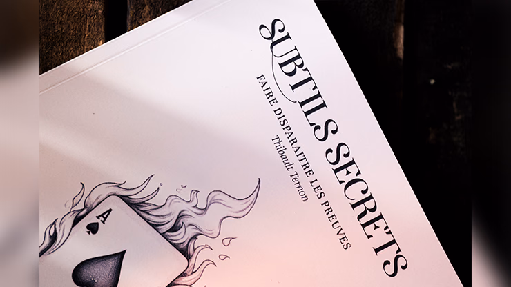 Subtle Secrets 1 by Thibault Ternon - Image 2