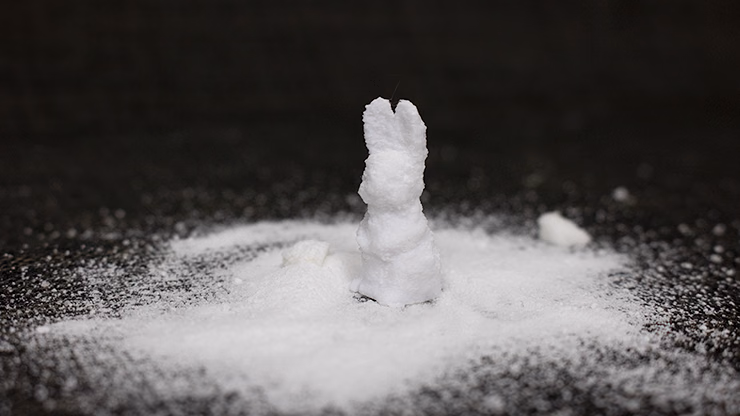 SUGAR BUNNY by Steve Fearson - Image 2