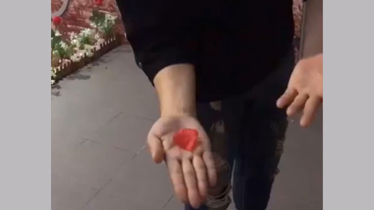 PETAL TO COIN by JL Magic - Image 2