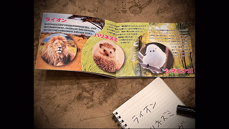 Mentalist's Animal Photo book 2024 by Tenyo Magic - Trick - Image 2