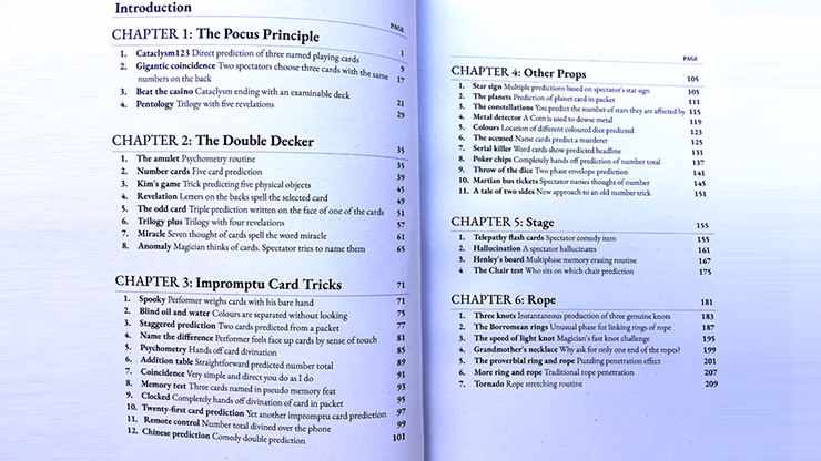 Prestidigitator by Brian Caswell - thumbnail 3