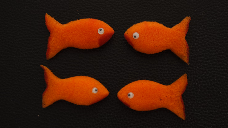 Sponge Emoji GOLDFISH (4PK.) by Andy Amyx- Trick - Image 2