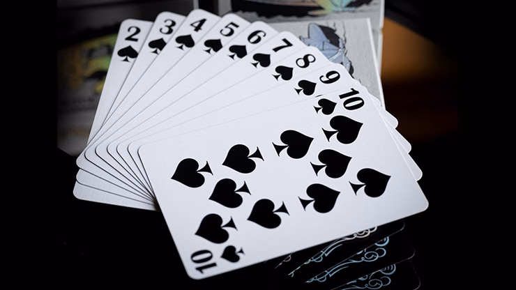 FULTON PRESENTS STEAMBOAT WILLIE PLAYING CARDS - thumbnail 5