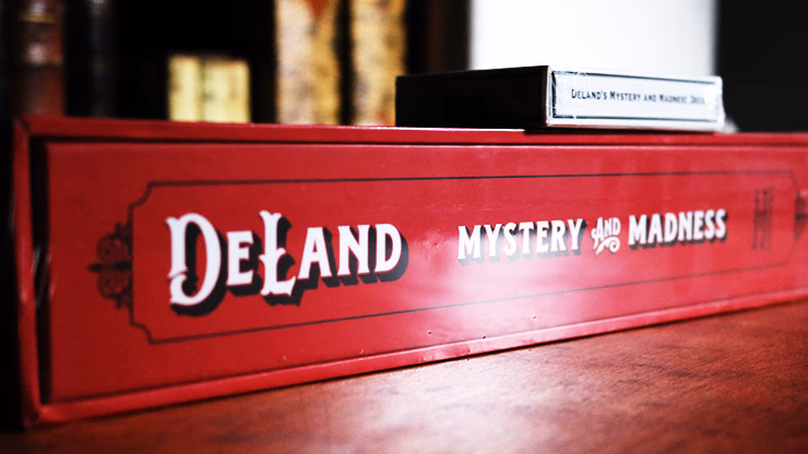 DeLand: Mystery and Madness by Richard Kaufman (Book and Cards) - thumbnail 3